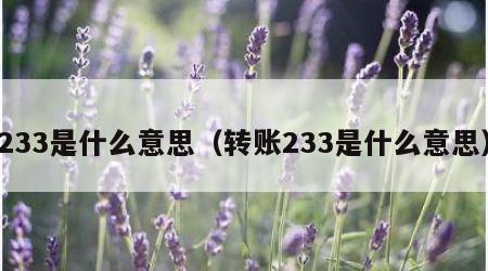 233是什么意思（转账233是什么意思）