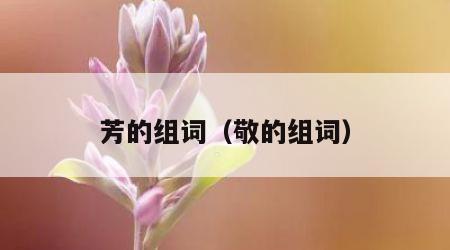 芳的组词（敬的组词）