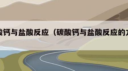 碳酸钙与盐酸反应（碳酸钙与盐酸反应的方程式）