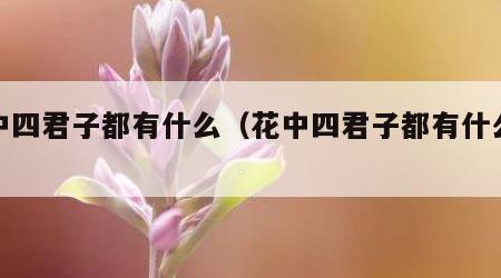 花中四君子都有什么（花中四君子都有什么植物）