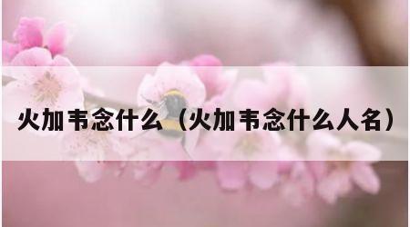 火加韦念什么（火加韦念什么人名）