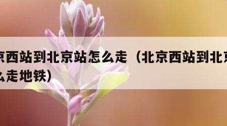 北京西站到北京站怎么走（北京西站到北京站怎么走地铁）