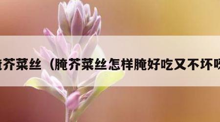 腌芥菜丝（腌芥菜丝怎样腌好吃又不坏呀）
