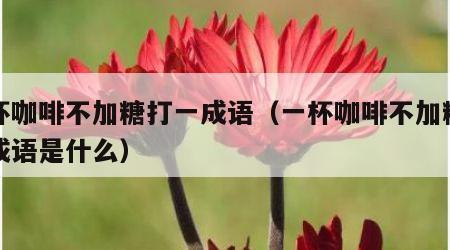 一杯咖啡不加糖打一成语（一杯咖啡不加糖打一成语是什么）