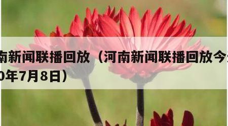 河南新闻联播回放（河南新闻联播回放今天2020年7月8日）