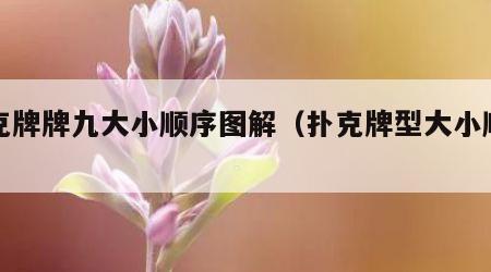 扑克牌牌九大小顺序图解（扑克牌型大小顺序图）