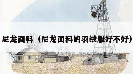 尼龙面料（尼龙面料的羽绒服好不好）
