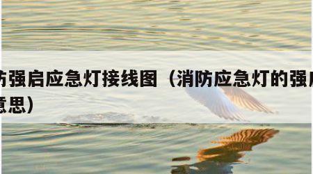消防强启应急灯接线图（消防应急灯的强启是啥意思）