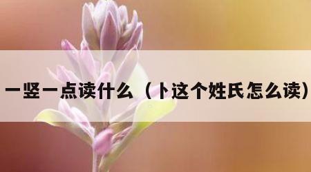 一竖一点读什么（卜这个姓氏怎么读）