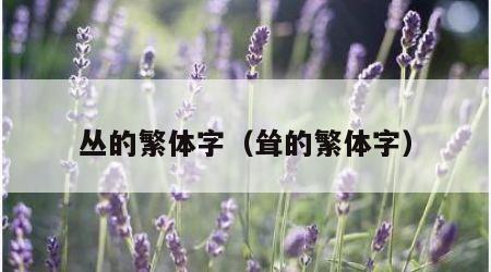 丛的繁体字（耸的繁体字）