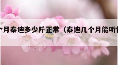 三个月泰迪多少斤正常（泰迪几个月能听懂人话）