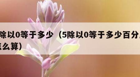 5除以0等于多少（5除以0等于多少百分比怎么算）