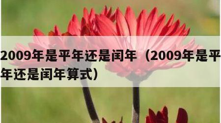 2009年是平年还是闰年（2009年是平年还是闰年算式）