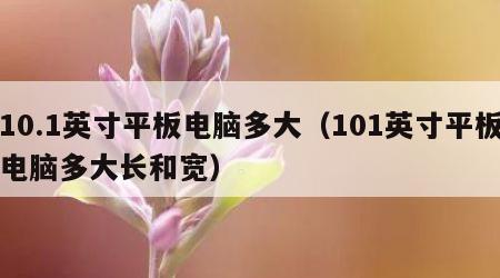 10.1英寸平板电脑多大（101英寸平板电脑多大长和宽）