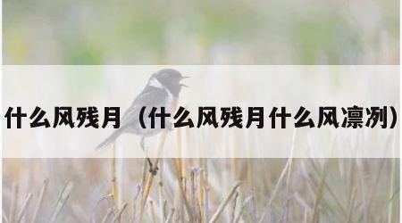 什么风残月（什么风残月什么风凛冽）
