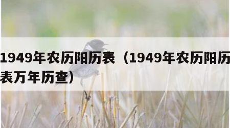 1949年农历阳历表（1949年农历阳历表万年历查）