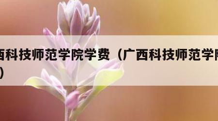 广西科技师范学院学费（广西科技师范学院学费?）