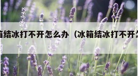 冰箱结冰打不开怎么办（冰箱结冰打不开怎么弄）