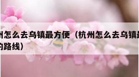 杭州怎么去乌镇最方便（杭州怎么去乌镇最方便的路线）