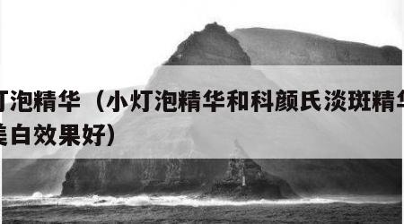 小灯泡精华（小灯泡精华和科颜氏淡斑精华哪款美白效果好）