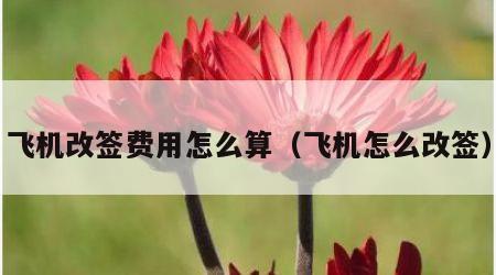 飞机改签费用怎么算（飞机怎么改签）