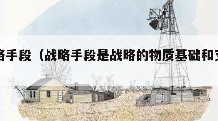 战略手段（战略手段是战略的物质基础和支柱）