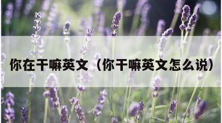 你在干嘛英文（你干嘛英文怎么说）