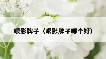 眼影牌子（眼影牌子哪个好）