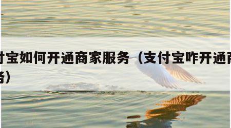 支付宝如何开通商家服务（支付宝咋开通商家服务）