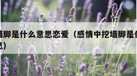 挖墙脚是什么意思恋爱（感情中挖墙脚是什么意思）