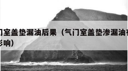 气门室盖垫漏油后果（气门室盖垫渗漏油有什么影响）