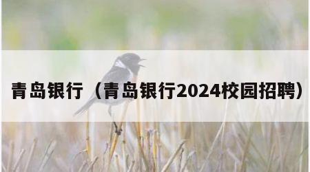 青岛银行（青岛银行2024校园招聘）