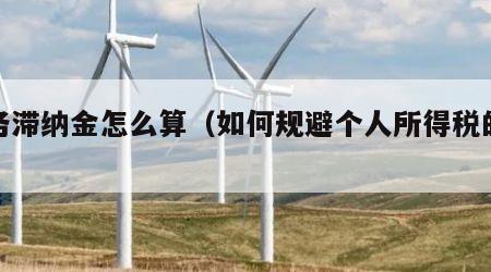 税务滞纳金怎么算（如何规避个人所得税的缴纳）