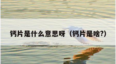 钙片是什么意思呀（钙片是啥?）