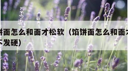 馅饼面怎么和面才松软（馅饼面怎么和面才松软不发硬）