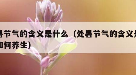 处暑节气的含义是什么（处暑节气的含义是什么如何养生）