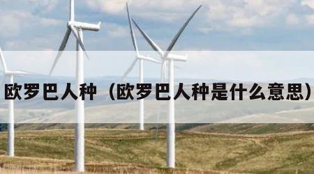 欧罗巴人种（欧罗巴人种是什么意思）