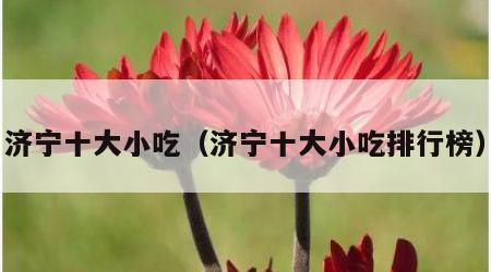 济宁十大小吃（济宁十大小吃排行榜）