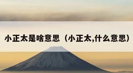 小正太是啥意思（小正太,什么意思）