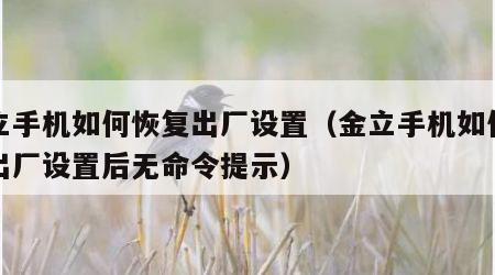 金立手机如何恢复出厂设置（金立手机如何恢复出厂设置后无命令提示）