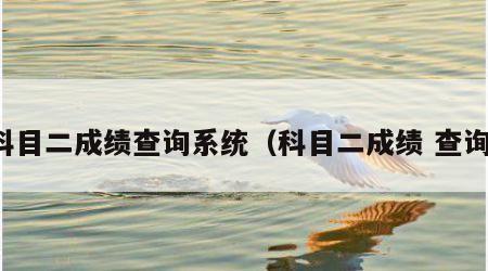 科目二成绩查询系统（科目二成绩 查询）