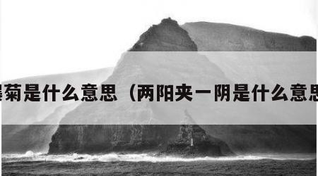 爆菊是什么意思（两阳夹一阴是什么意思）