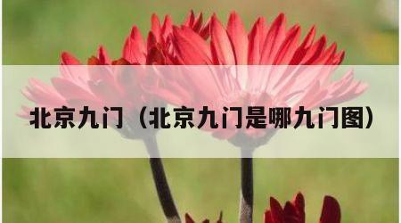北京九门（北京九门是哪九门图）