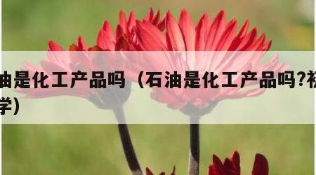 石油是化工产品吗（石油是化工产品吗?初中化学）