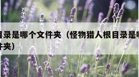 根目录是哪个文件夹（怪物猎人根目录是哪个文件夹）