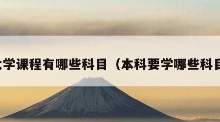 大学课程有哪些科目（本科要学哪些科目）