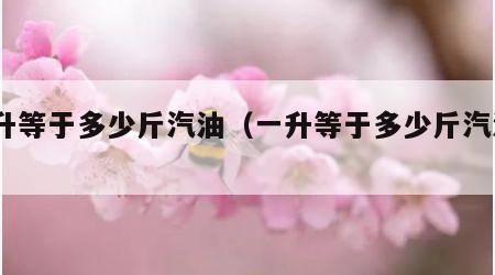 一升等于多少斤汽油（一升等于多少斤汽油95）