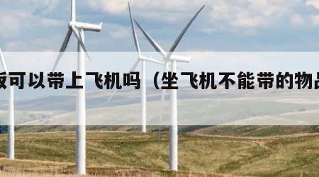 夹板可以带上飞机吗（坐飞机不能带的物品清单）