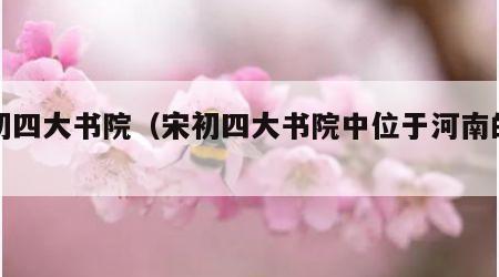 宋初四大书院（宋初四大书院中位于河南的是）