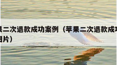 苹果二次退款成功案例（苹果二次退款成功案例图片）